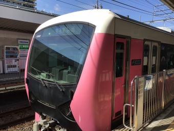 草薙駅から長沼駅の乗車記録(乗りつぶし)写真