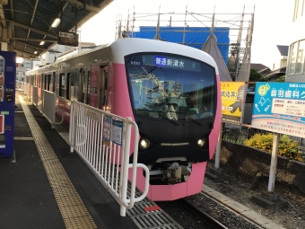 音羽町駅から長沼駅の乗車記録(乗りつぶし)写真