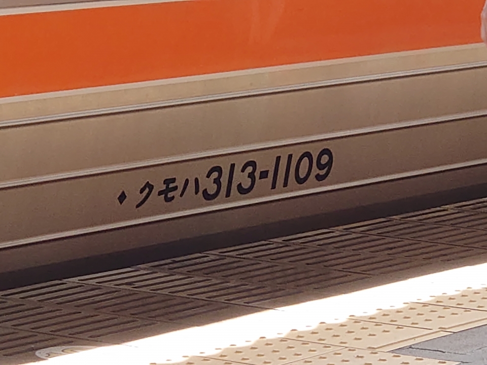 鉄道乗車記録「静岡駅から浜松駅」車両銘板の写真(6) by 313系2350番台W1編成海シス 撮影日時:2022年03月20日