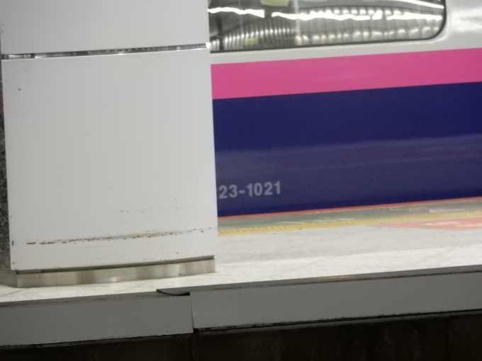 鉄道乗車記録の写真:車両銘板(6)     「東京駅で停車中だったE2系の車両番号です」