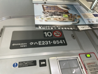 東京駅から茅ケ崎駅の乗車記録(乗りつぶし)写真