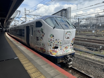 京都駅から天王寺駅:鉄道乗車記録の写真