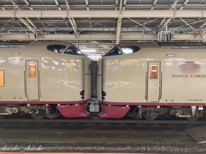 鉄道乗車記録の写真:乗車した列車(外観)(2)        「サンライズ瀬戸、出雲号
285系　東京駅」
