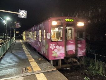 川西駅から清流新岩国駅の乗車記録(乗りつぶし)写真