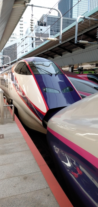 東京駅から福島駅の乗車記録(乗りつぶし)写真