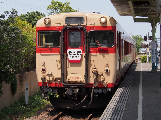 鉄道乗車記録の写真:乗車した列車(外観)(1)     「急行列車が入線
残念ながらキハ28は貸切で乗れず…」