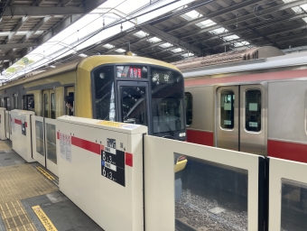横浜駅から綱島駅の乗車記録(乗りつぶし)写真