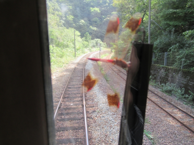 鉄道乗車記録の写真:車窓・風景(4)        「坪尻構内でスイッチバック中
ワイパーでとんぼがﾀﾋんでた」