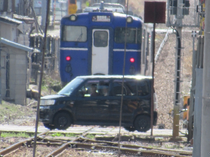 鉄道乗車記録の写真:列車・車両の様子(未乗車)(12)     「お前さんそんなところに止まって何してんだ？」