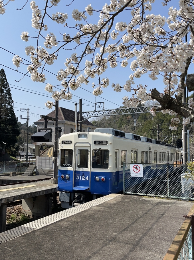 鉄道乗車記録の写真:列車・車両の様子(未乗車)(14)        「山下駅へ出発‼️」