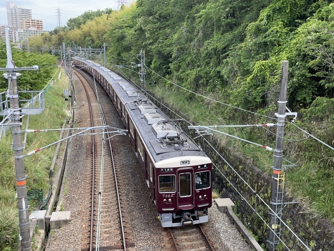 鉄道乗車記録の写真:列車・車両の様子(未乗車)(1)        「散歩がてら南千里駅まで。
途中、千里トンネルに入る列車を撮影。」