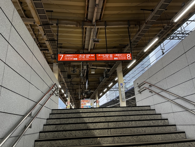 鉄道乗車記録の写真:駅舎・駅施設、様子(22)        「宇都宮ラインで蓮田駅へ。」