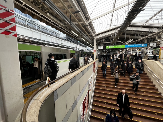 鉄道乗車記録の写真:駅舎・駅施設、様子(8)        「上野駅を早々に去り、東京駅です。
実はまだ帰阪方法を決めかねていて。」