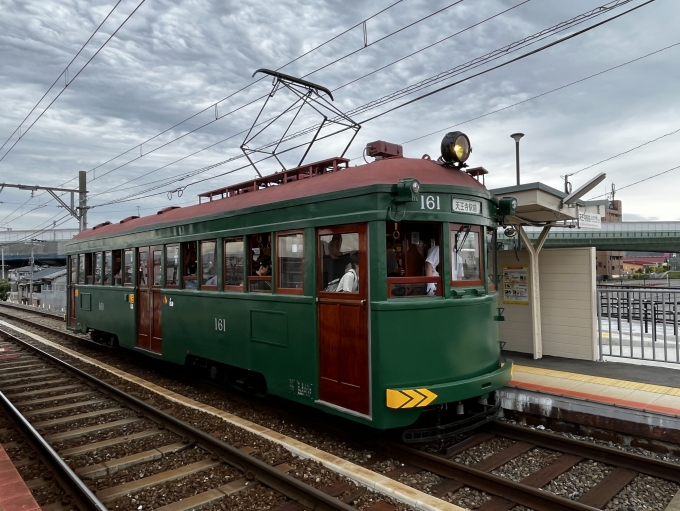 鉄道乗車記録の写真:列車・車両の様子(未乗車)(9)        「本日のお目当てのモ161型。」