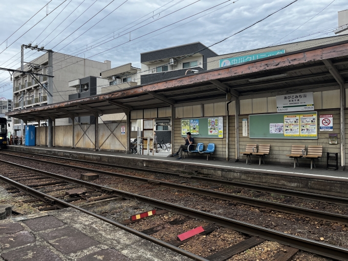 鉄道乗車記録の写真:駅舎・駅施設、様子(14)        「我孫子道駅に戻りました。」