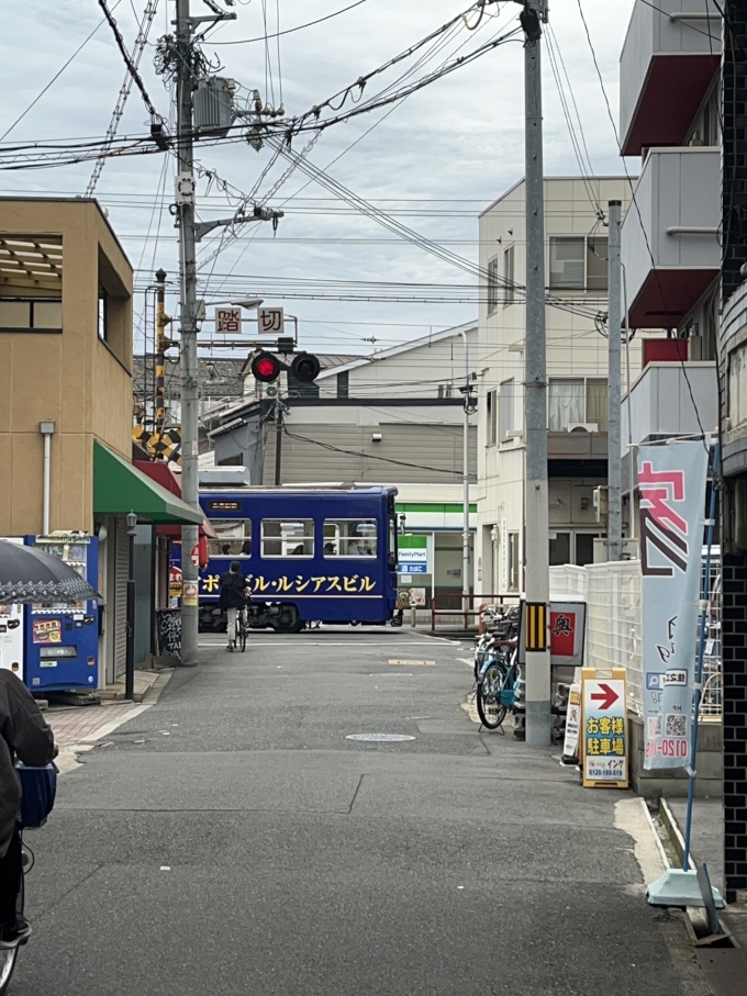 鉄道乗車記録の写真:列車・車両の様子(未乗車)(15)        「ホント、大阪の下町を縫うように。」