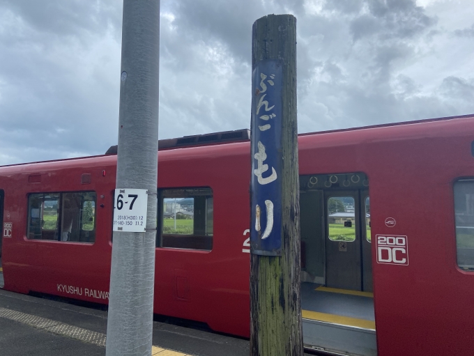 鉄道乗車記録の写真:駅名看板(1)          