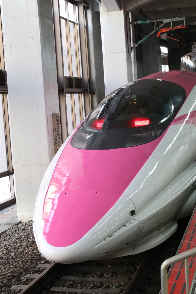 鉄道乗車記録の写真:列車・車両の様子(未乗車)(5)     「Hello Kitty 新幹線!!」