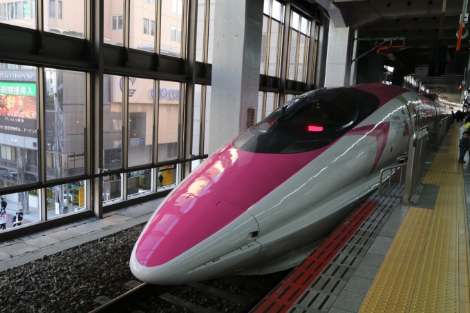 鉄道乗車記録の写真:列車・車両の様子(未乗車)(6)     「Hello Kitty 新幹線」