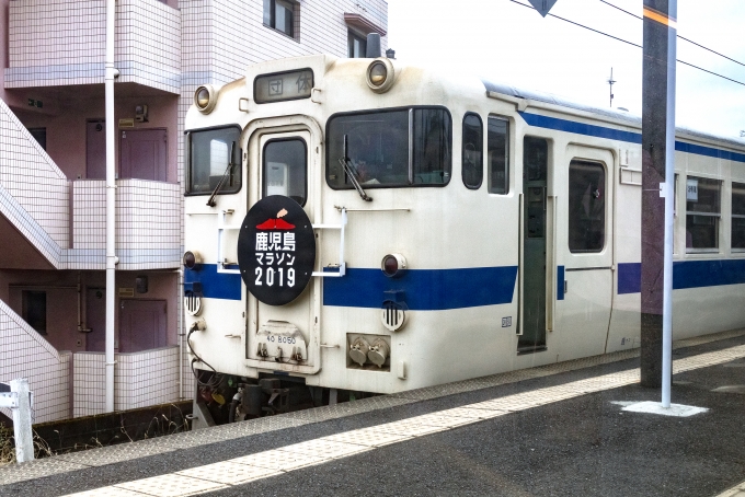 鉄道乗車記録の写真:列車・車両の様子(未乗車)(1)          「この日は、鹿児島マラソンの開催日。臨時列車。」