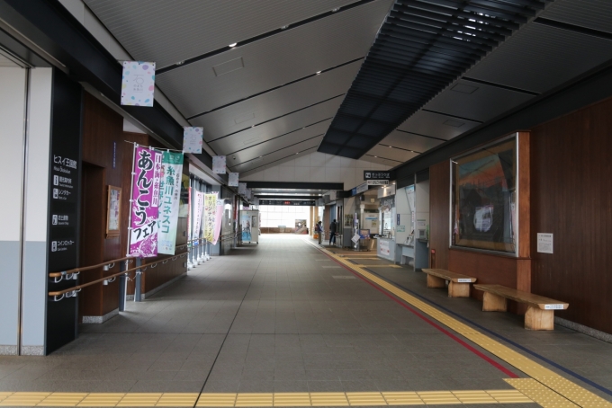 鉄レコ写真:駅舎・駅施設、様子