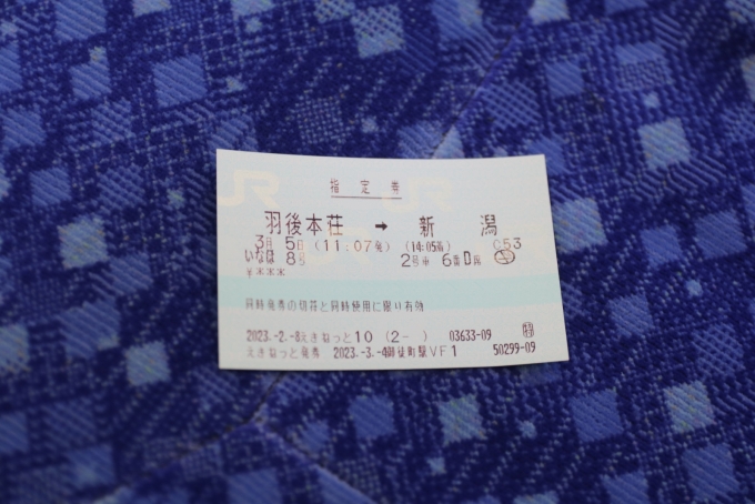 鉄道乗車記録の写真:きっぷ(14)     