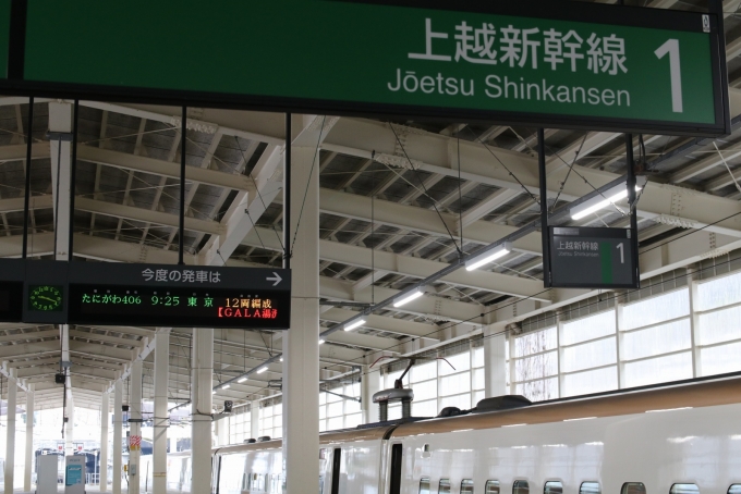 鉄道乗車記録の写真:駅舎・駅施設、様子(15)        