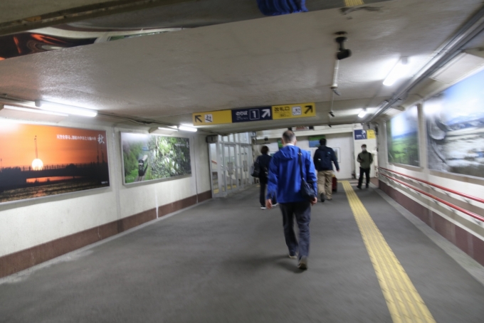鉄道乗車記録の写真:駅舎・駅施設、様子(6)     