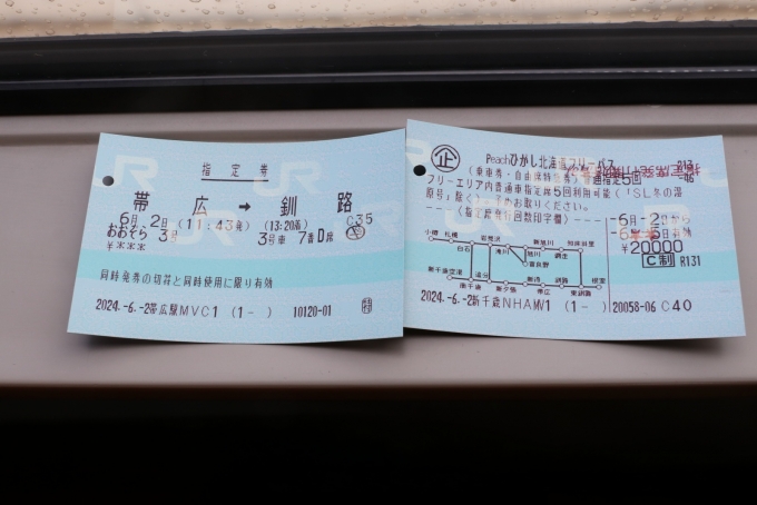鉄道乗車記録の写真:きっぷ(23)        