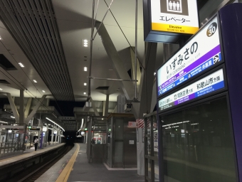 泉佐野駅から難波駅:鉄道乗車記録の写真