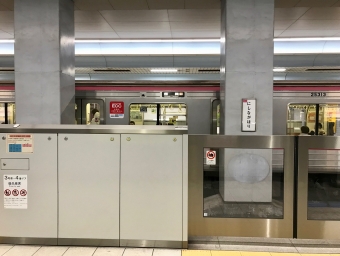 西長堀駅から野田阪神駅の乗車記録(乗りつぶし)写真