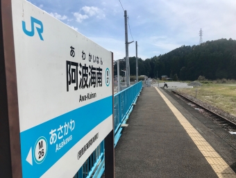 阿波海南駅から徳島駅:鉄道乗車記録の写真