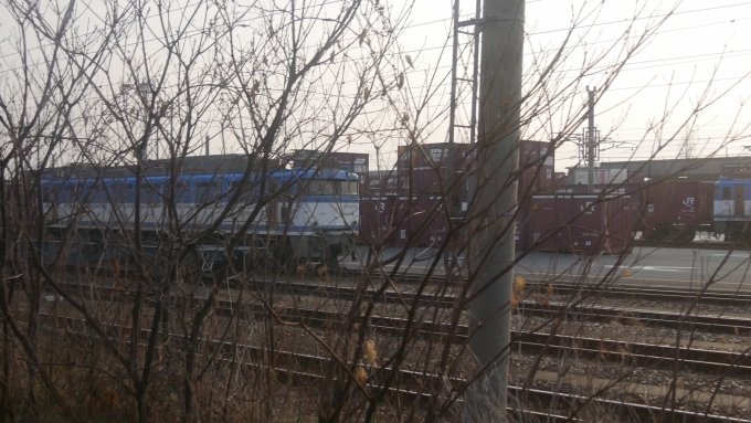 鉄道乗車記録の写真:車窓・風景(1)        「EF81形450番代×２
左側はEF81 454」