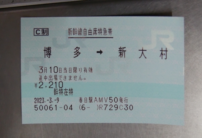 鉄道乗車記録の写真:きっぷ(13)     