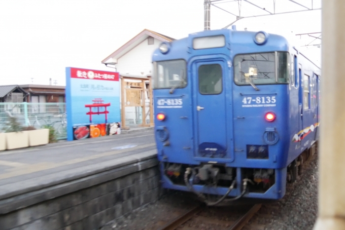 鉄道乗車記録の写真:列車・車両の様子(未乗車)(14)        「キハ47-8135」
