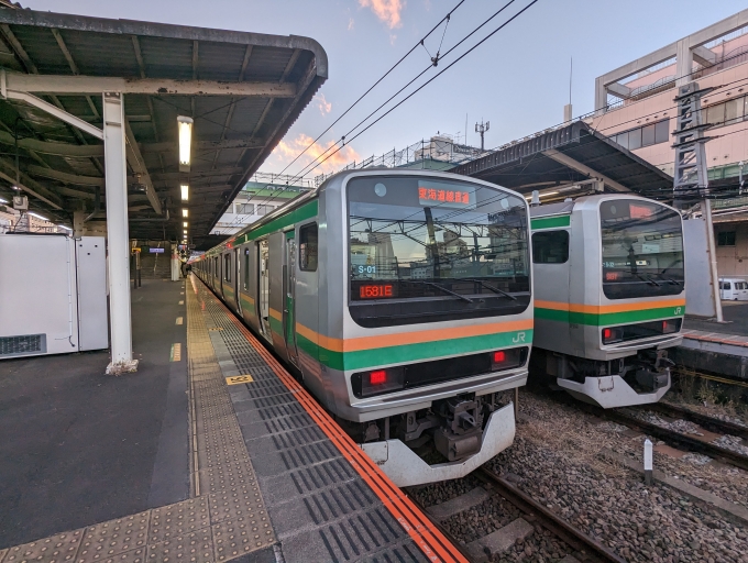 鉄道乗車記録の写真:乗車した列車(外観)(1)          「上野東京ライン
JR東日本E231系一般形電車」
