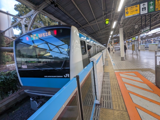 鉄道乗車記録の写真:乗車した列車(外観)(1)          「京浜東北線
JR東日本E233系一般形電車」