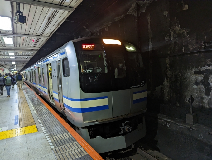 鉄道乗車記録の写真:乗車した列車(外観)(1)          「総武線快速電車
JR東日本E217系一般形電車」