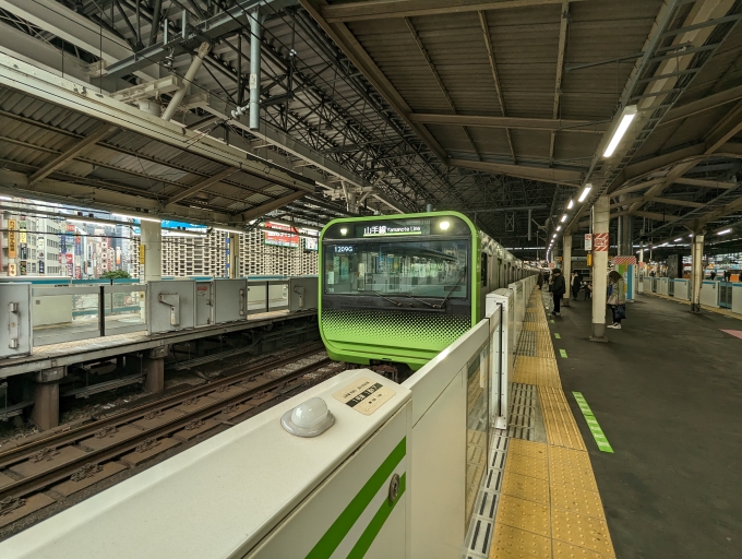 鉄道乗車記録の写真:乗車した列車(外観)(1)          「山手線
JR東日本E235系一般形電車」