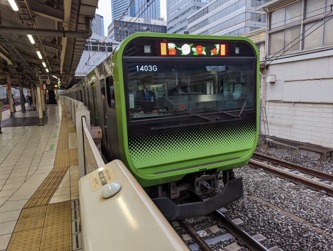 鉄道乗車記録の写真:乗車した列車(外観)(1)        「山手線
JR東日本E235系一般形電車」