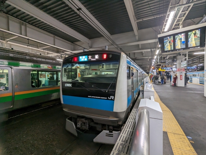 鉄道乗車記録の写真:乗車した列車(外観)(1)        「京浜東北線
JR東日本E233系一般形電車」
