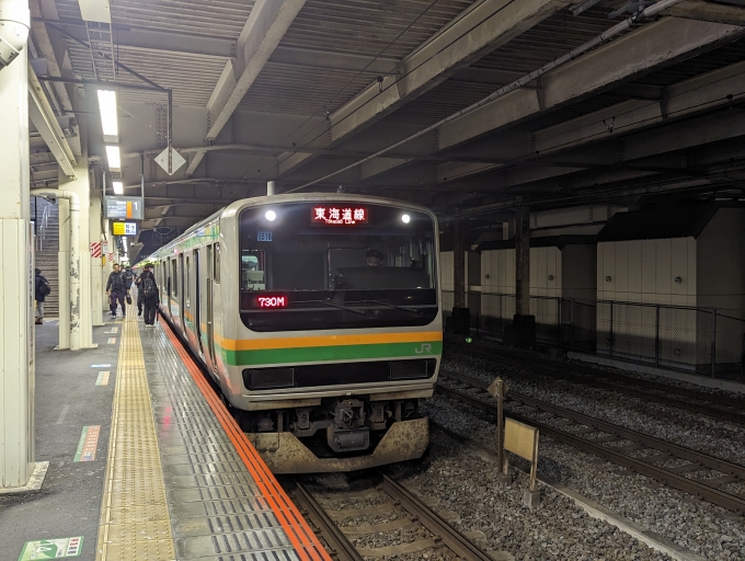 鉄道乗車記録の写真:乗車した列車(外観)(1)        「東海道線
JR東日本E231系一般形電車」