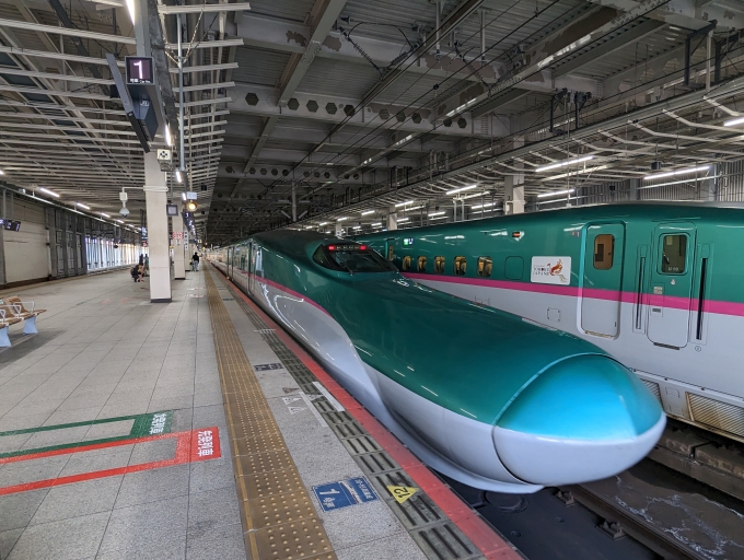 鉄道乗車記録の写真:乗車した列車(外観)(1)        「東北・北海道新幹線
JR東日本E5系新幹線」