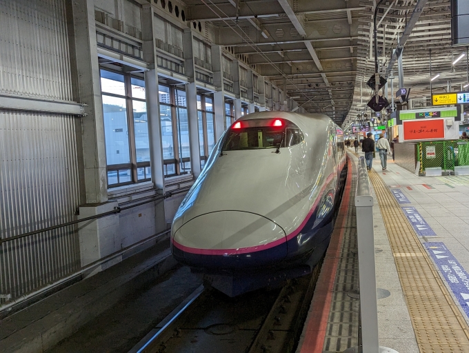 鉄道乗車記録の写真:列車・車両の様子(未乗車)(4)        「東北新幹線
JR東日本E2系新幹線」
