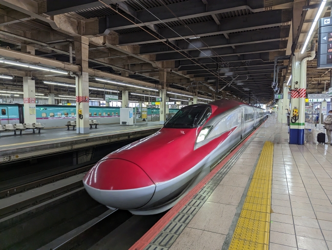 鉄道乗車記録の写真:乗車した列車(外観)(1)          「秋田新幹線
JR東日本E6系新幹線」