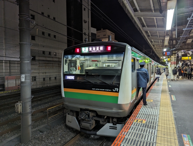 鉄道乗車記録の写真:乗車した列車(外観)(1)        「東海道線
JR東日本E233系一般形電車」