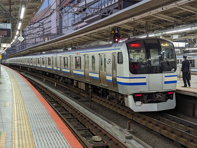 鉄道乗車記録の写真:列車・車両の様子(未乗車)(2)        「横須賀線
JR東日本E217系一般形電車」