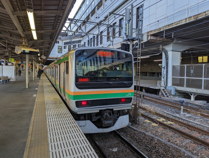 鉄道乗車記録の写真:乗車した列車(外観)(1)          「上野東京ライン(宇都宮線～東海道線)」