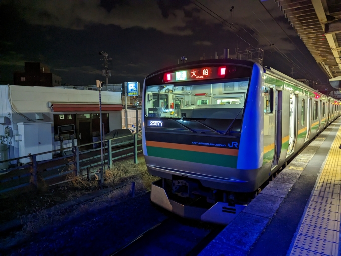 鉄道乗車記録の写真:乗車した列車(外観)(1)          「湘南新宿ライン(宇都宮線～横須賀線線)」