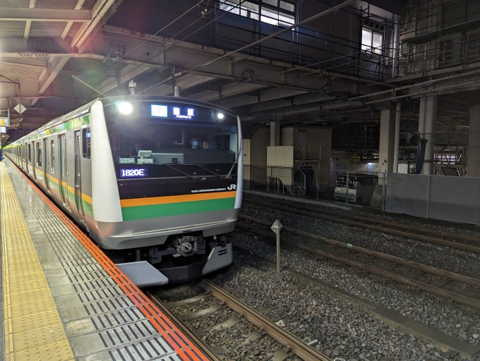 鉄道乗車記録の写真:乗車した列車(外観)(1)          「上野東京ライン(東海道線～高崎線)」